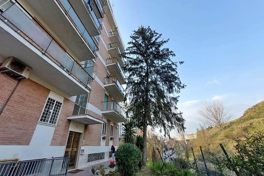 Отель La Casa Di Flavia Рим Экстерьер фото